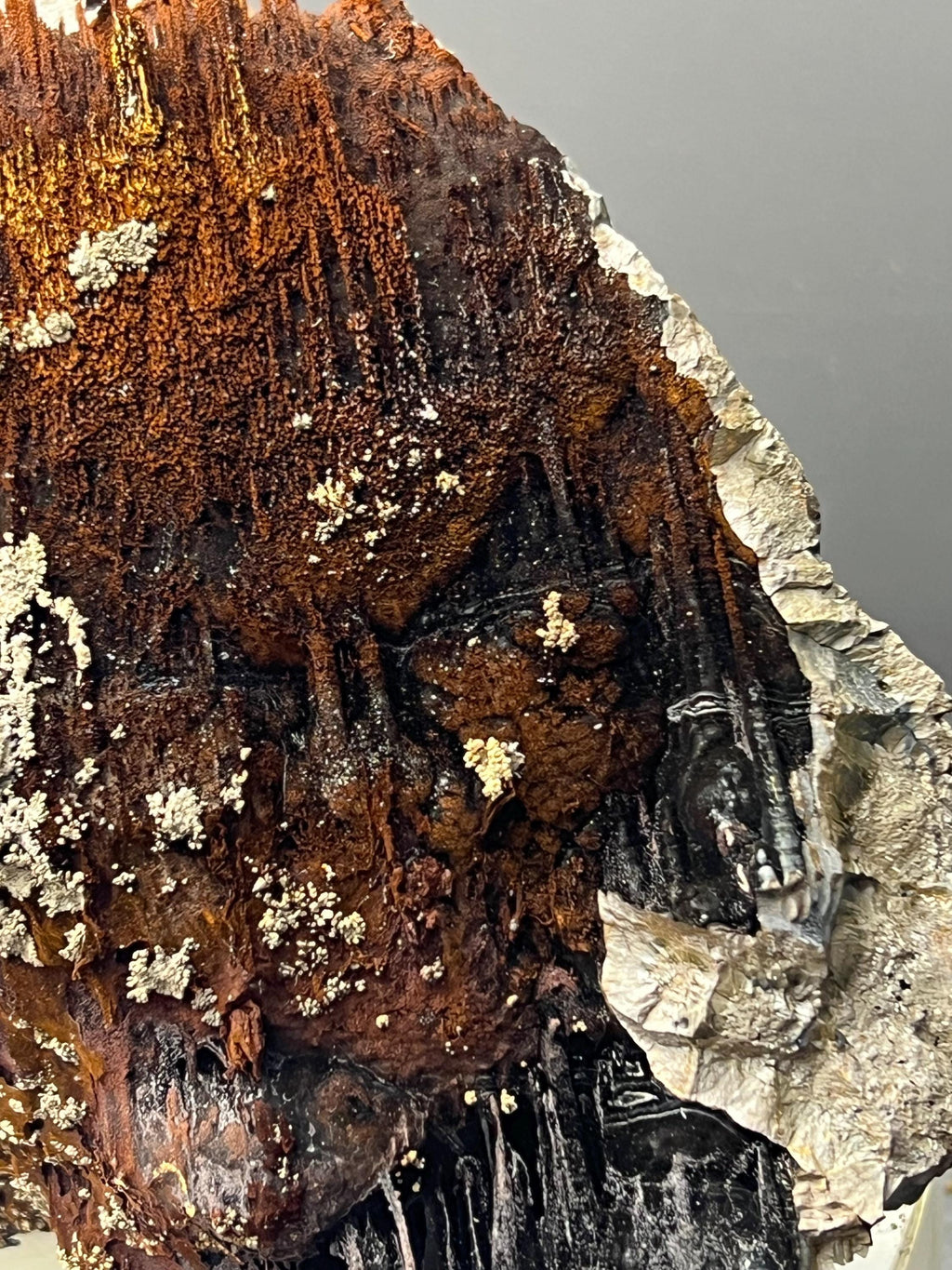 Museum Grade, Limonite And Specularite With Stalactite Goethite Specimen, For Special Collection Piece! - Crystal Gemstone AE 