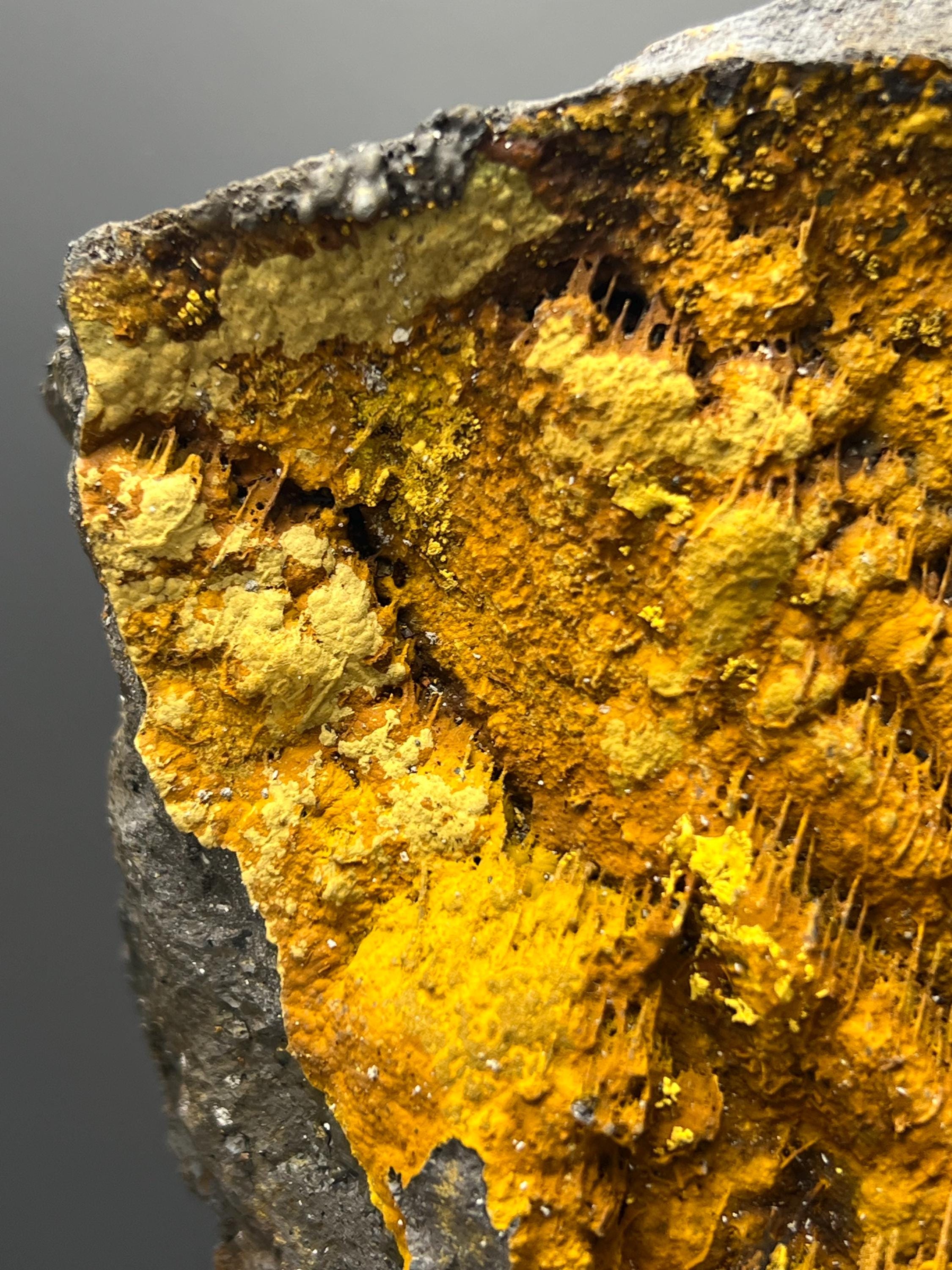 Museum Quality, Very Special And Showy Limonite With Stalactite Goethite - Crystal Gemstone AE 