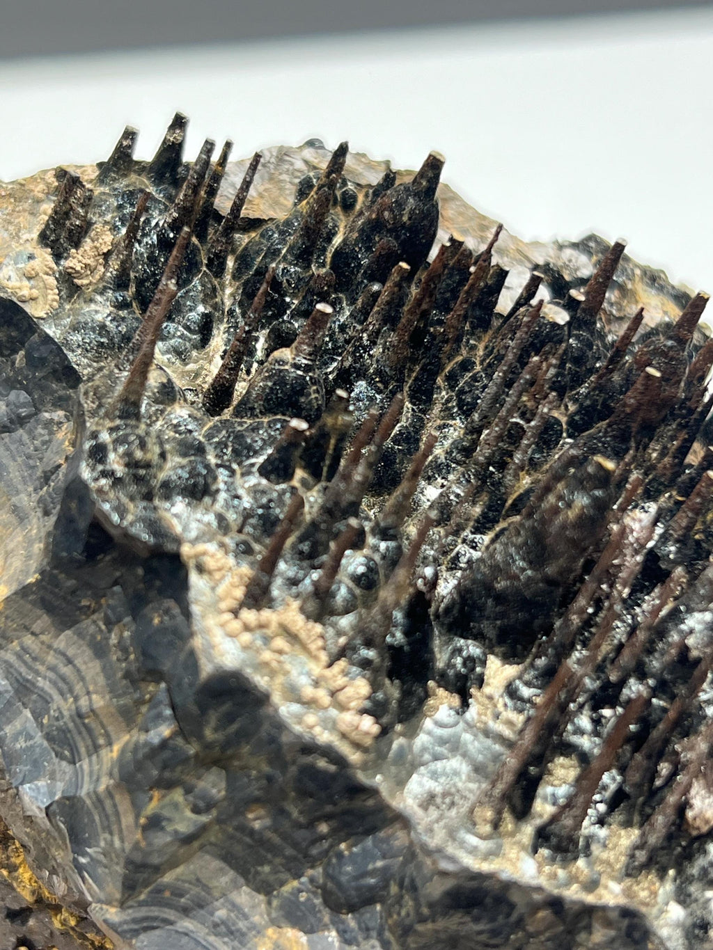 Museum quality, Very showy limonite and specularite on stalactite Goethite, special collections piece - Crystal Gemstone AE 