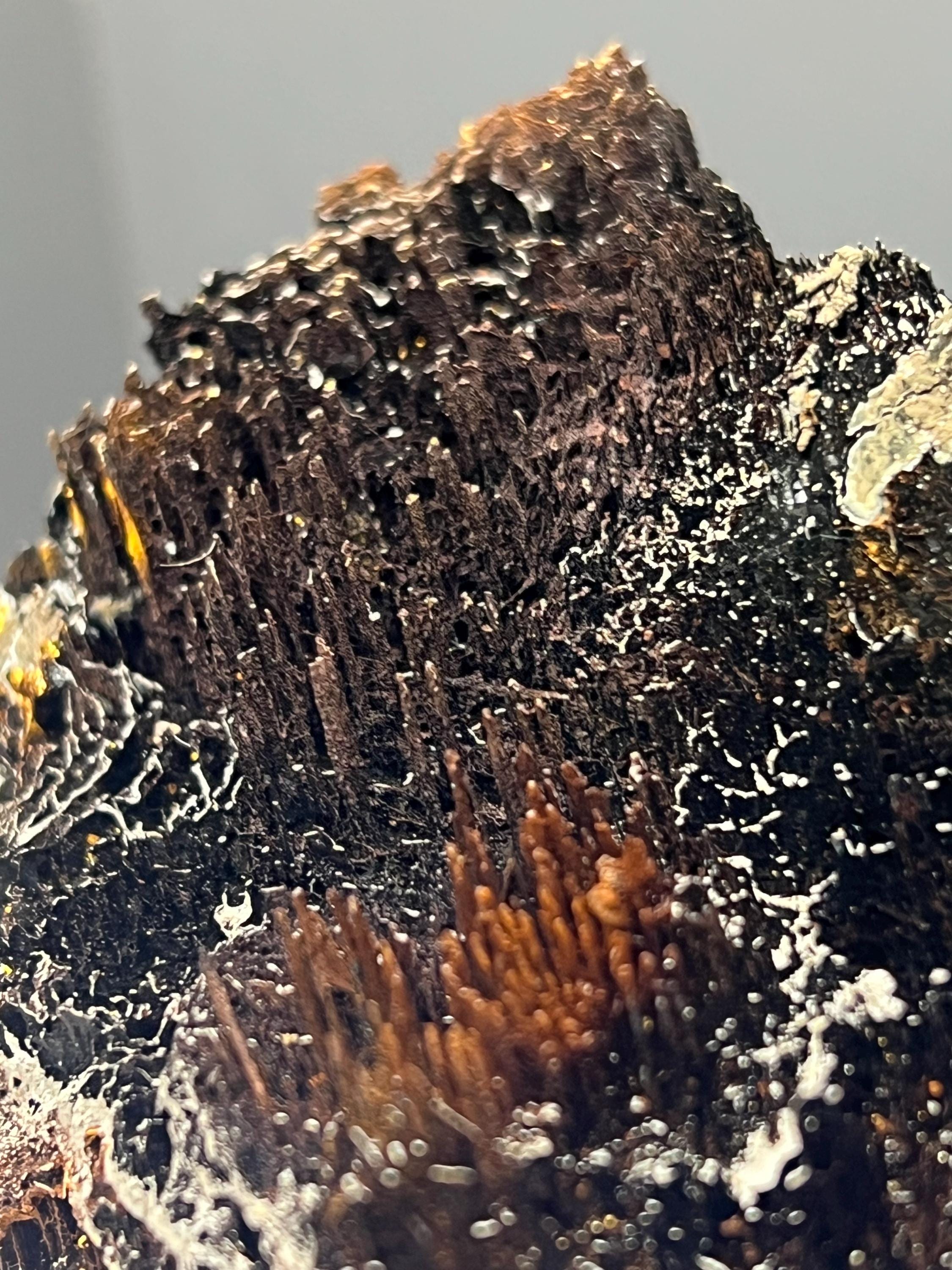 Showy, Limonite With Stalactite Goethite Specimen - Crystal Gemstone AE 
