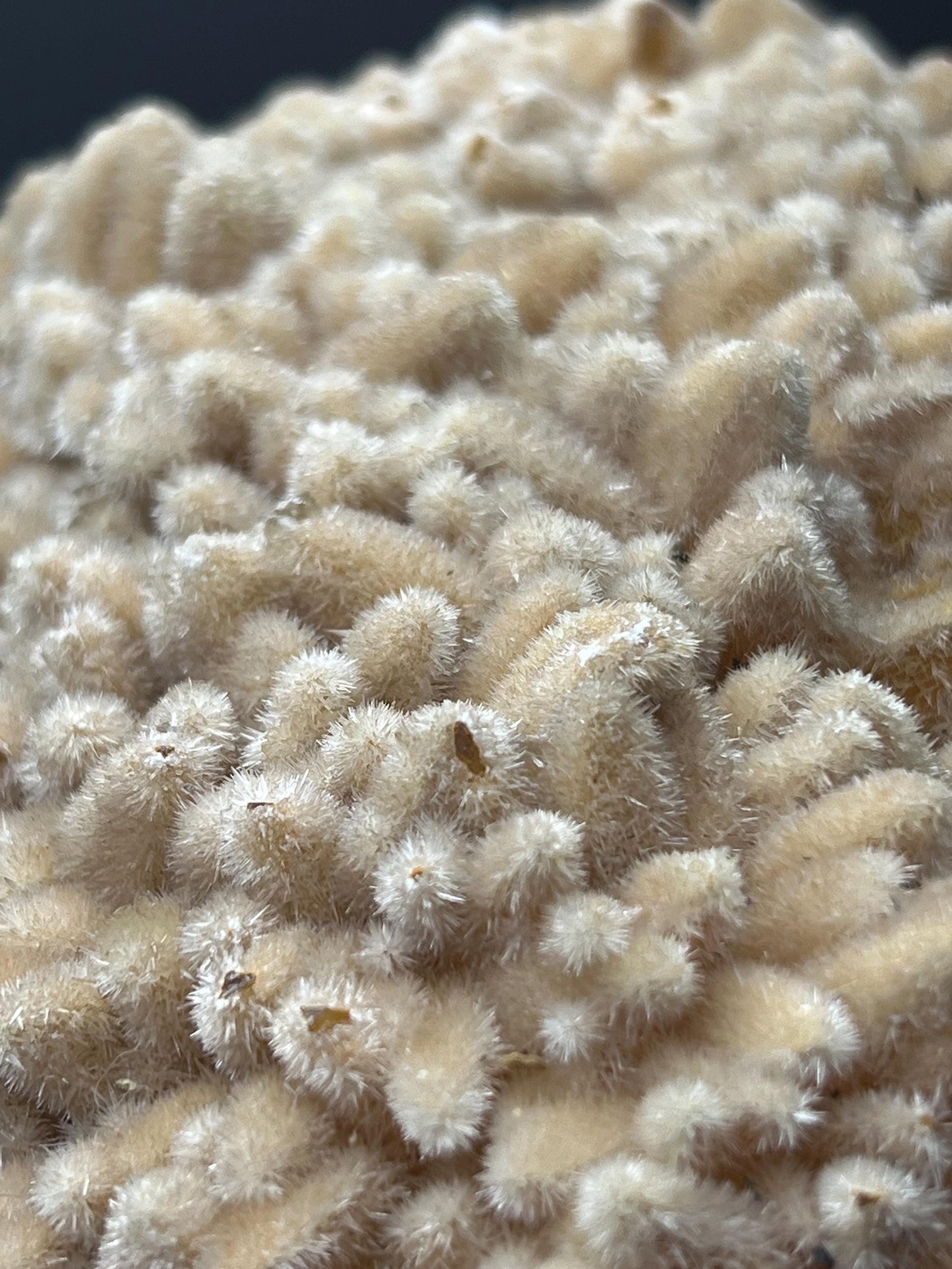 Feather Crystal Calcite Specimen