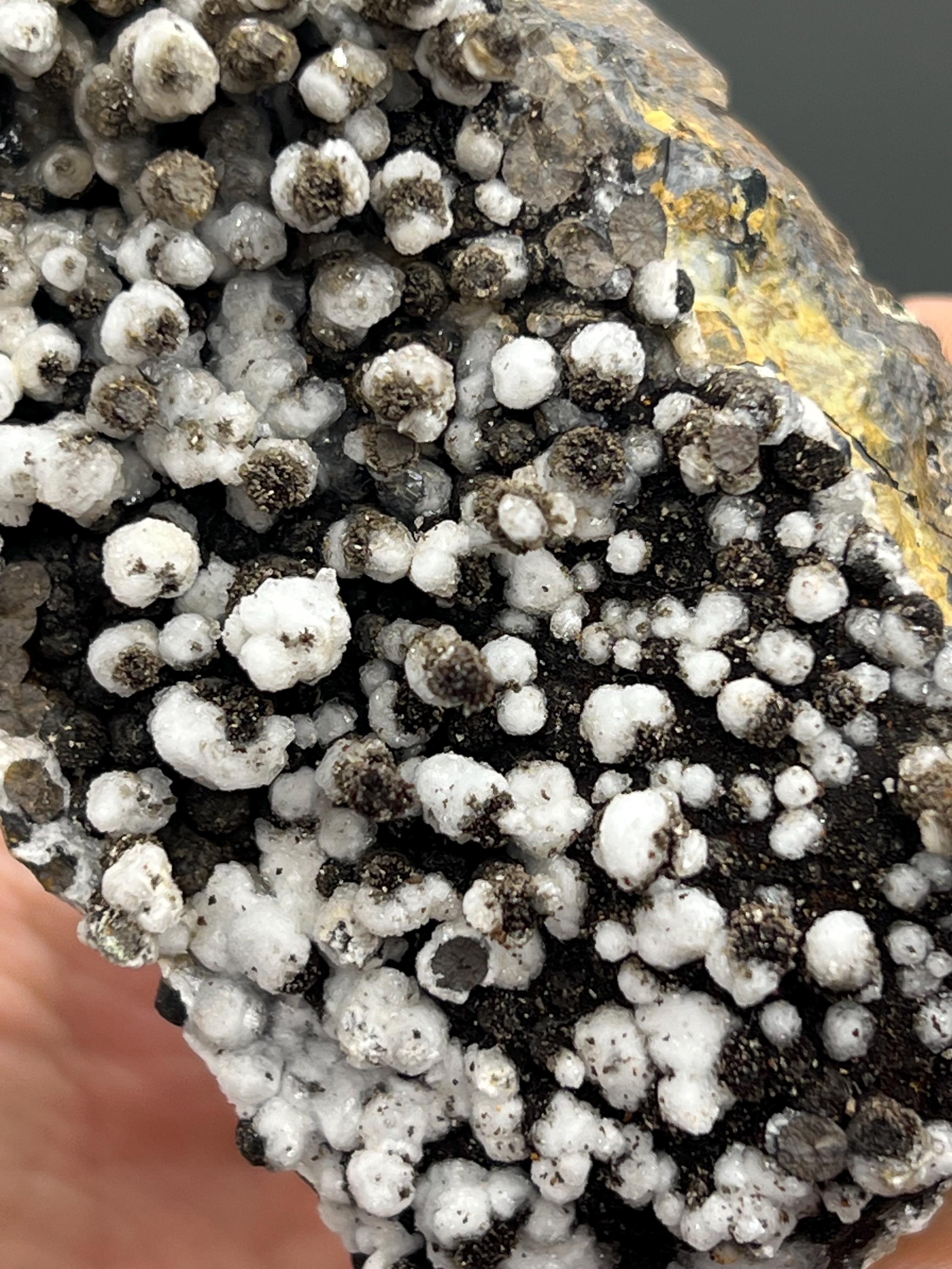 Museum Grade Snow Crystal Calcite On Stalactite Hematite - Crystal Gemstone AE 