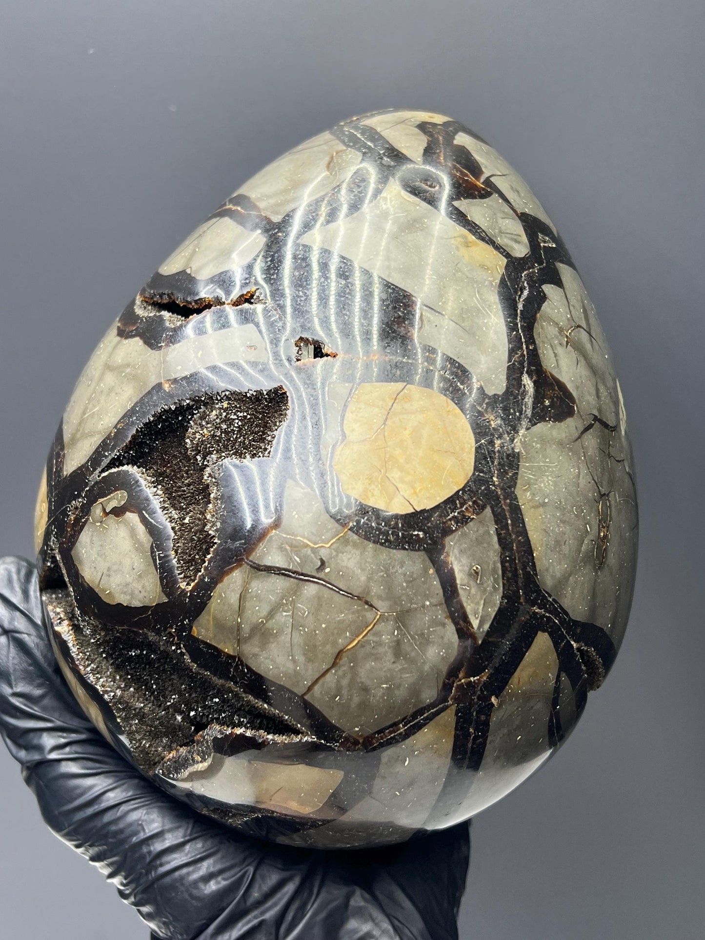 XL Polished Septarian Egg - Crystal Gemstone AE 