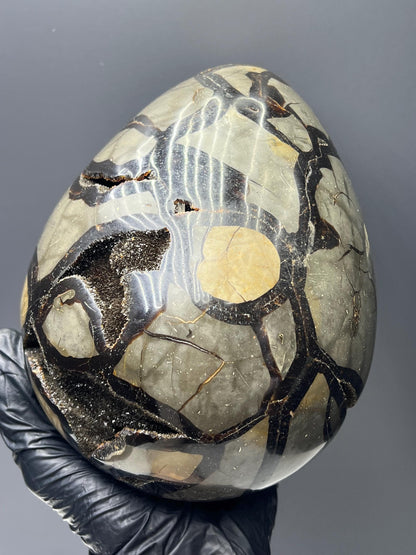 XL Polished Septarian Egg - Crystal Gemstone AE 