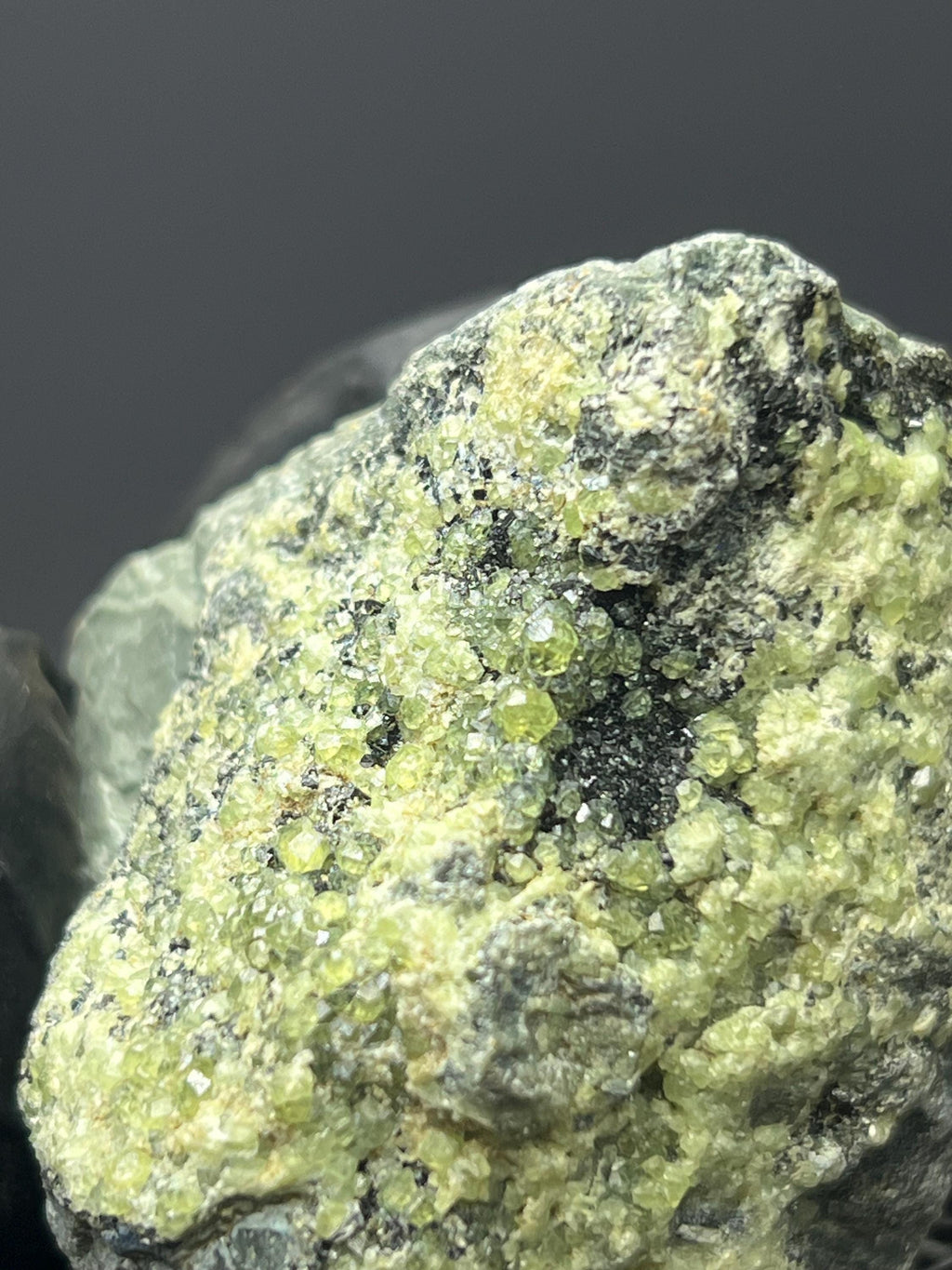 Peridot Specimen - Pakistan - Crystal Gemstone AE 