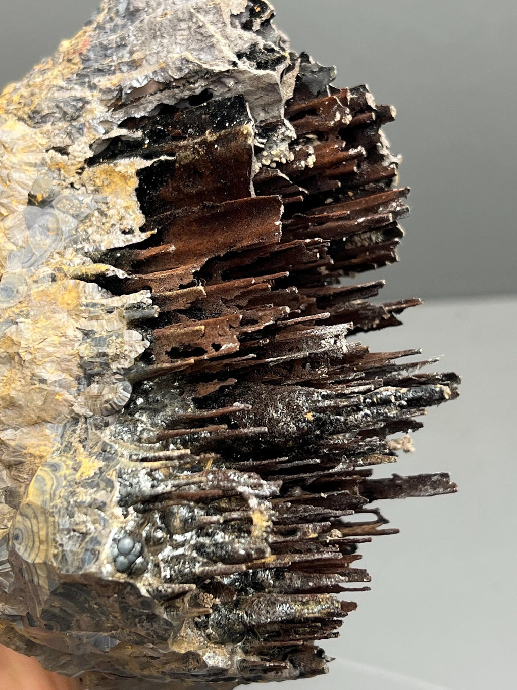Museum Quality, Very Showy Limonite On Stalactite Goethite, For Special Collections - Crystal Gemstone AE 