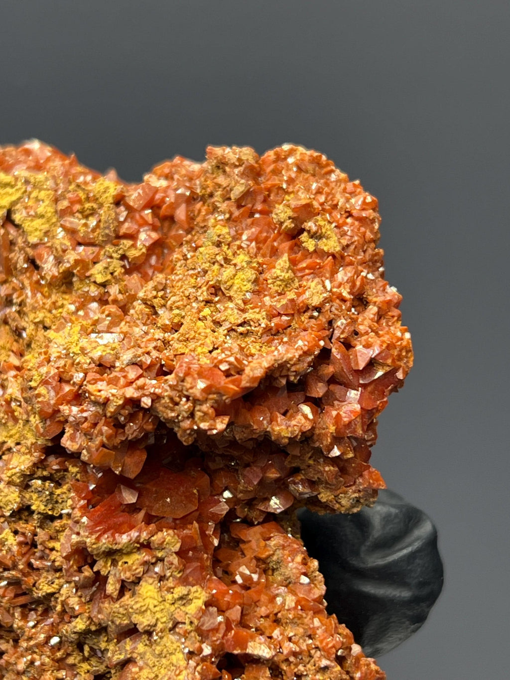 Adelaide Mine Crocoite Specimen - Tasmania Red Crystals - Crystal Gemstone AE 