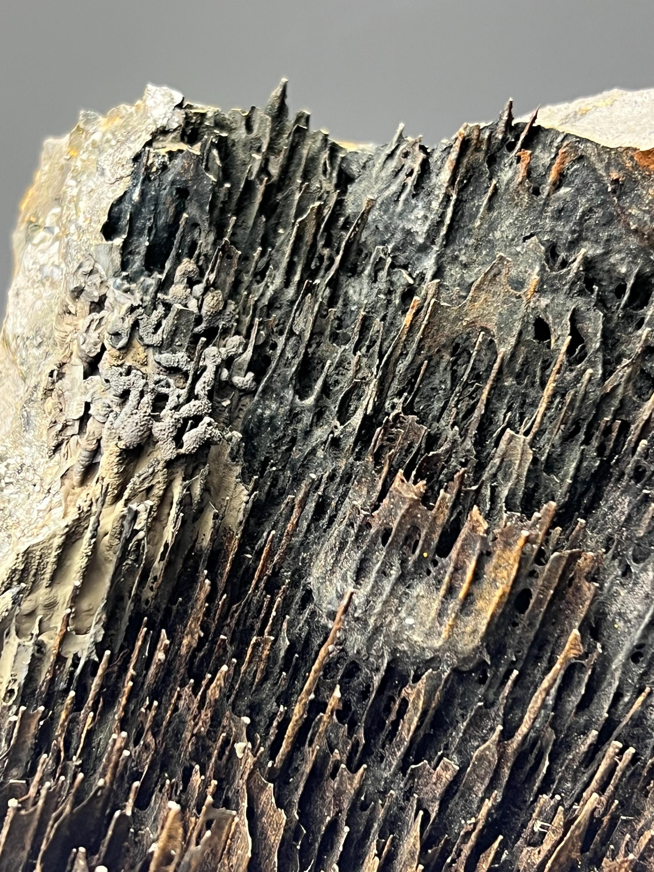 Very Showy Limonite With Stalactite Goethite Specimen - Crystal Gemstone AE 