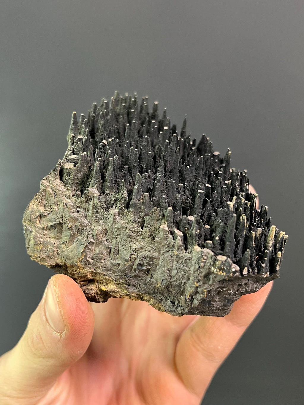 Museum Quality Forest Stalactite Goethite - Crystal Gemstone AE 