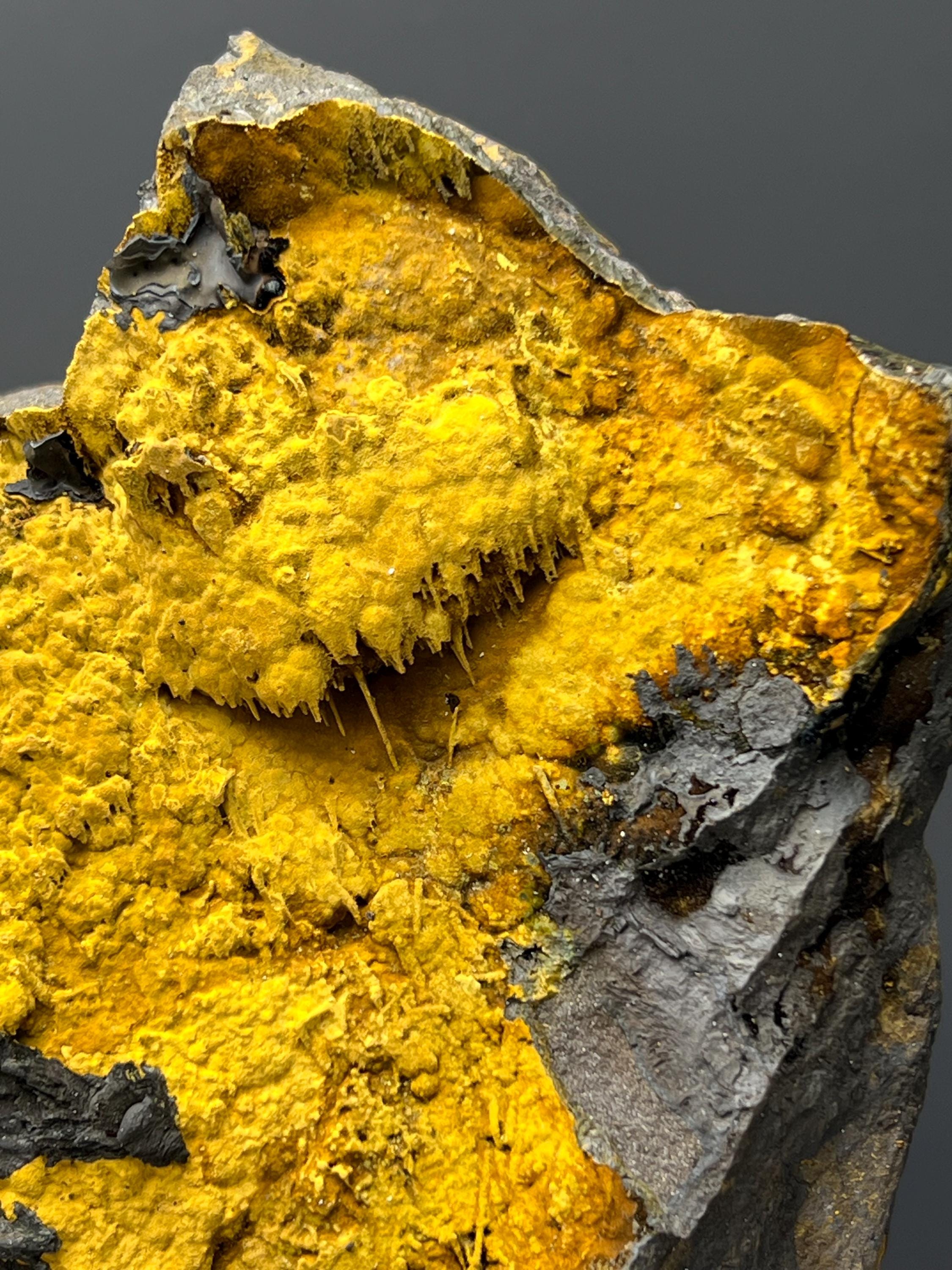 Museum Grade, Very Special Limonite With Small Stalactites Goethite Specimen - Crystal Gemstone AE 
