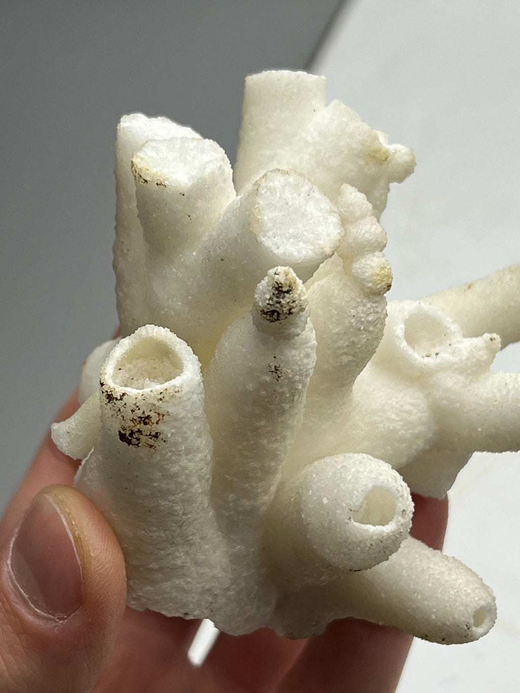 Special Formed Very Showy Stalactite Aragonite Craters, From Turkey - Crystal Gemstone AE 