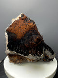Museum Grade, Limonite And Specularite With Stalactite Goethite, For Special Collection - Crystal Gemstone AE 
