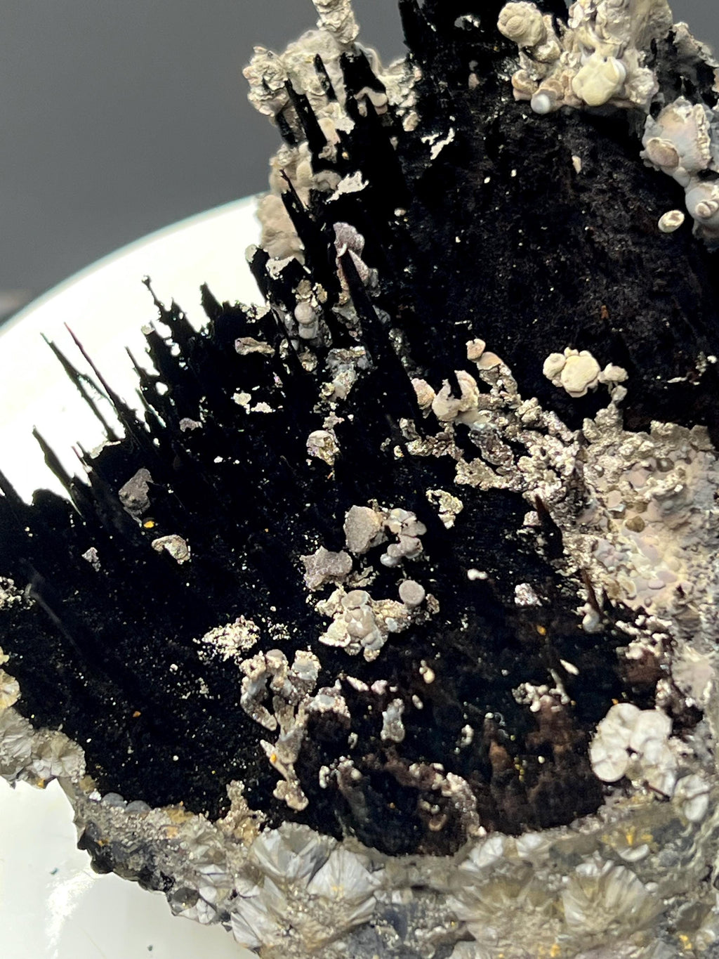 Museum Quality, Very Special, Specularite And Limonite With Stalactite Goethite Specimen - Crystal Gemstone AE 