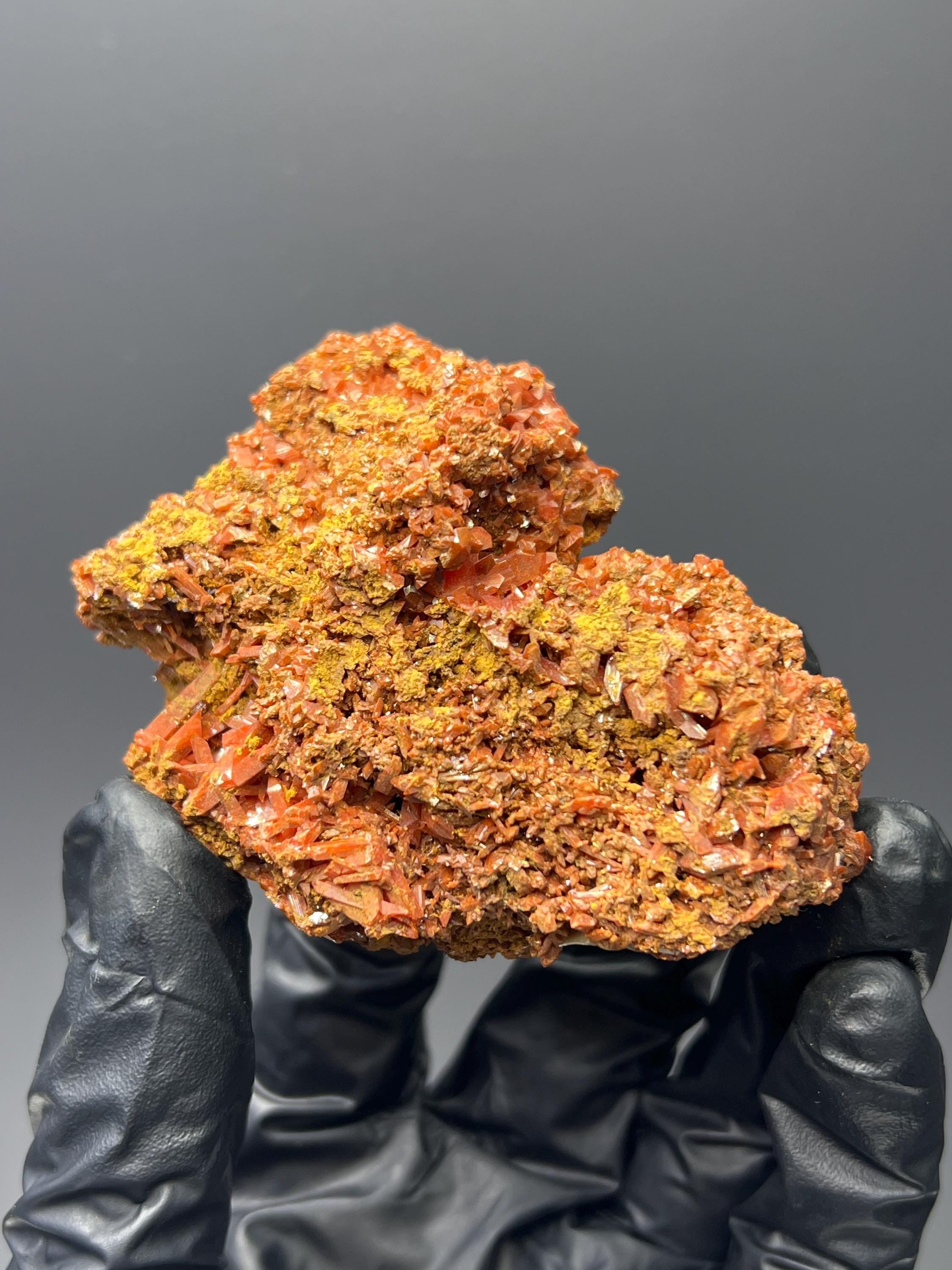 Adelaide Mine Crocoite Specimen - Tasmania Red Crystals - Crystal Gemstone AE 