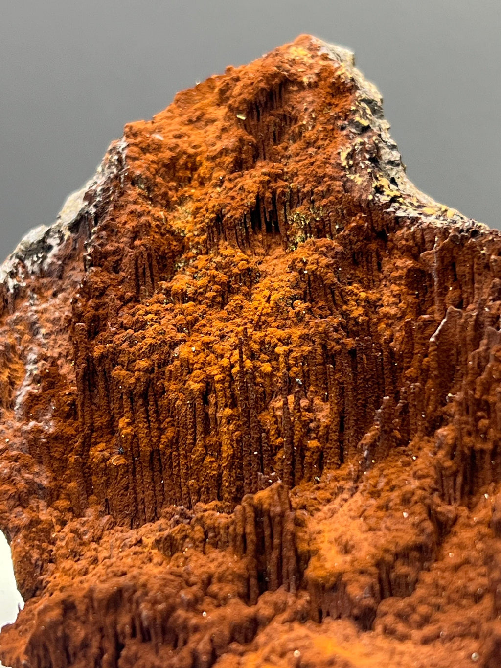 Museum Grade, Limonite With Stalactite Goethite Specimen - Crystal Gemstone AE 