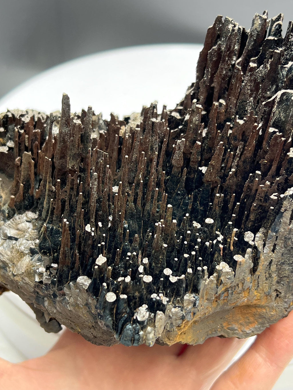 Rare Find! Limonite On Stalactite Hematite - Crystal Gemstone AE 