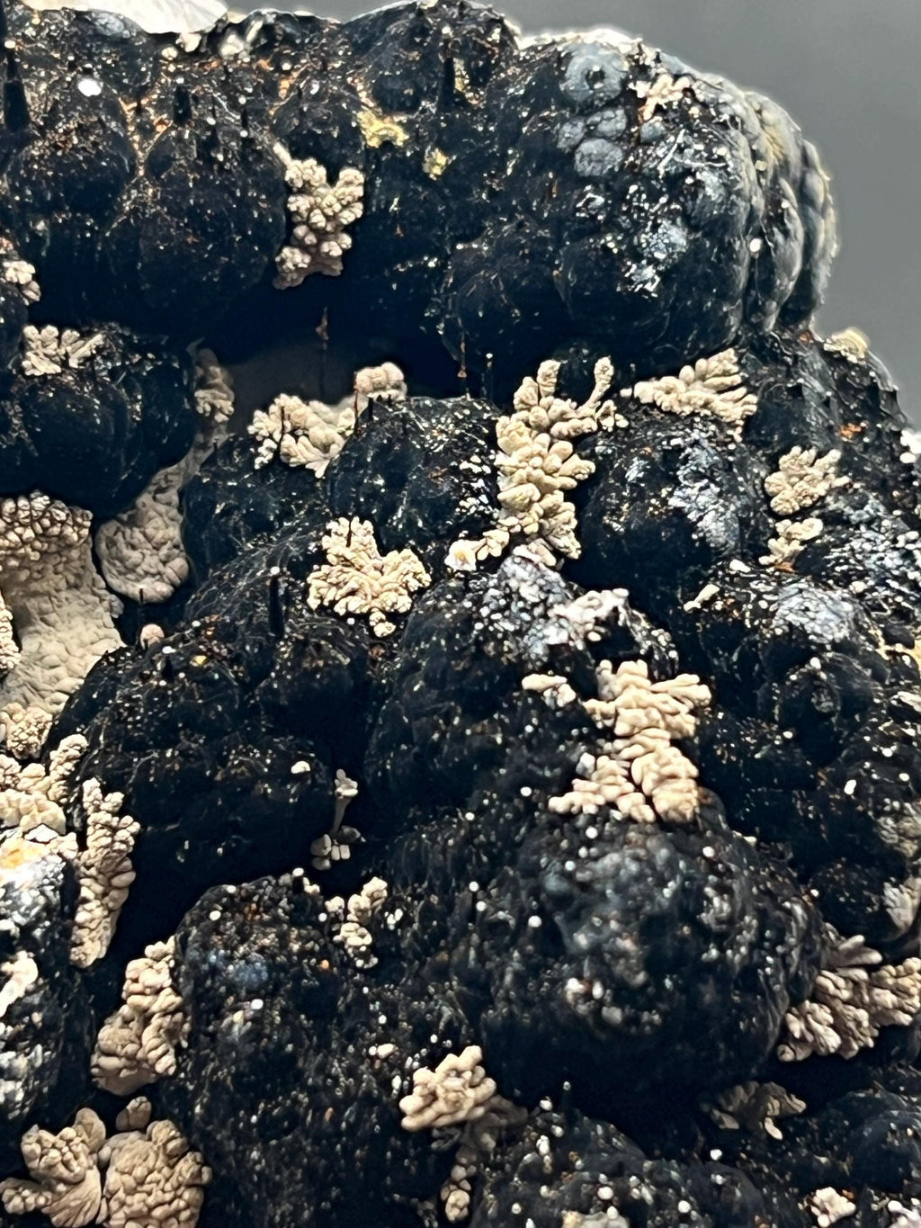 Limonite And Specularite On Stalactite Goethite - Crystal Gemstone AE 