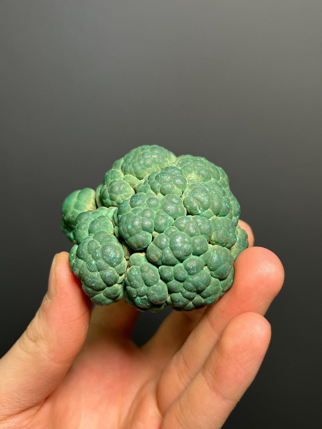 Malachite Specimen - Congo - Crystal Gemstone AE 