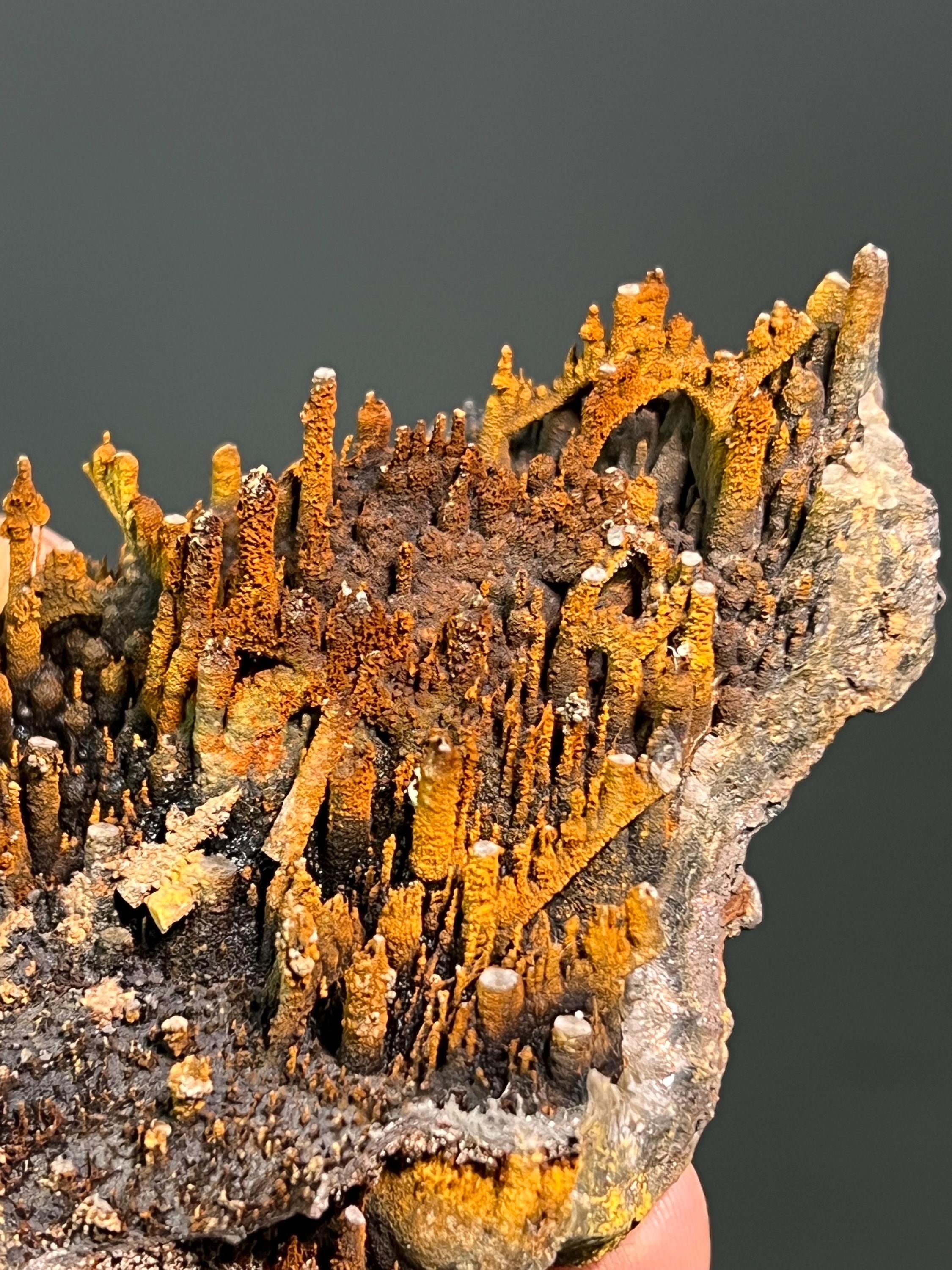 Museum Grade Limonite On Stalactite Goethite - Crystal Gemstone AE 