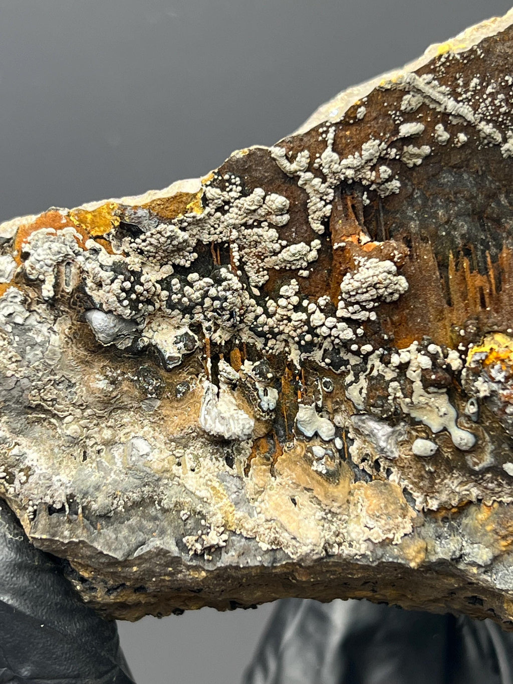 Museum Grade Limonite And Specularite On Stalactite Goethite - Crystal Gemstone AE 