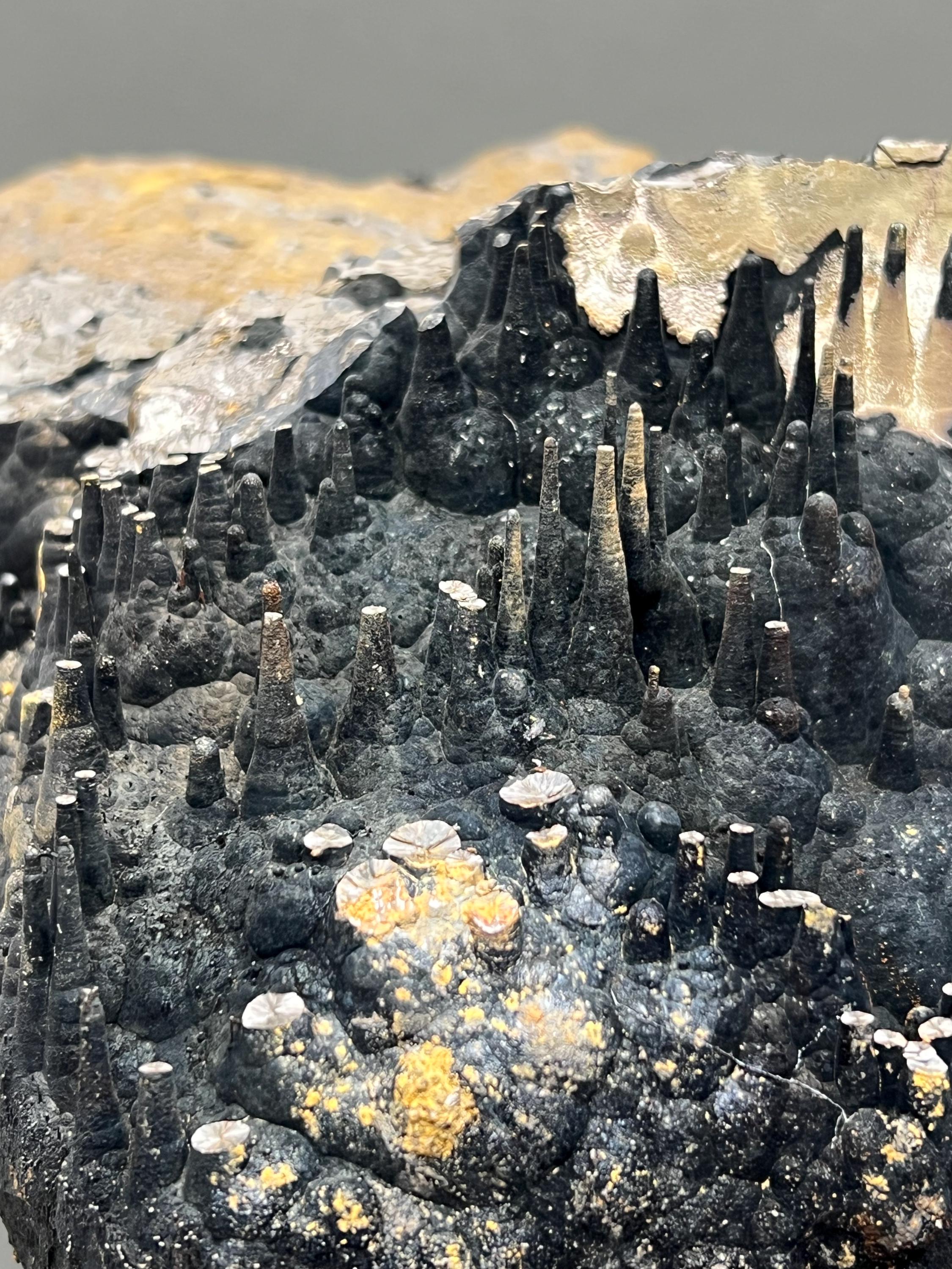 Large Size Limonite And Specularite On Stalactite Goethite - Crystal Gemstone AE 