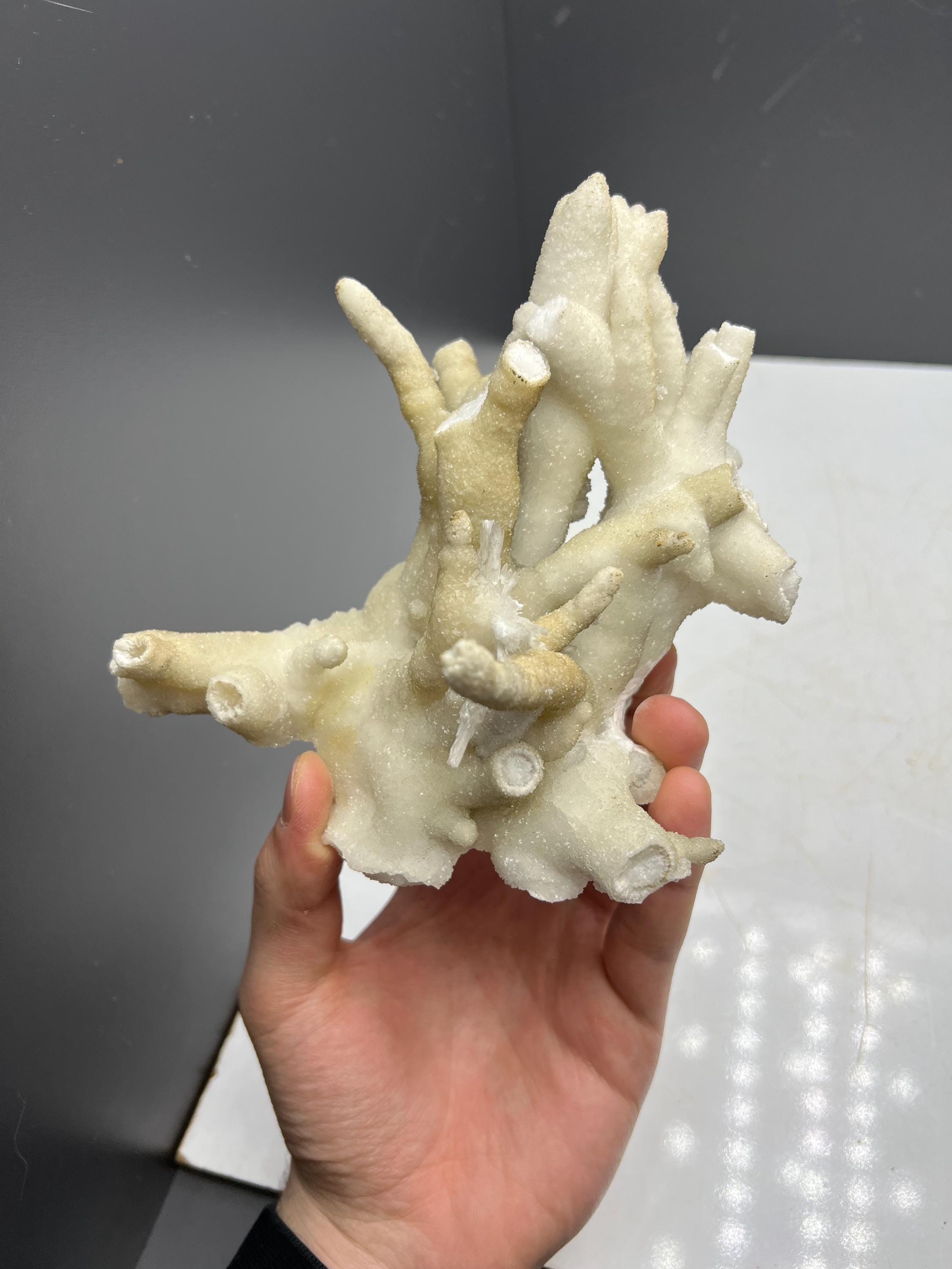 Very Special And Showy Stalactite Aragonite Mineral, From Turkey - Crystal Gemstone AE 