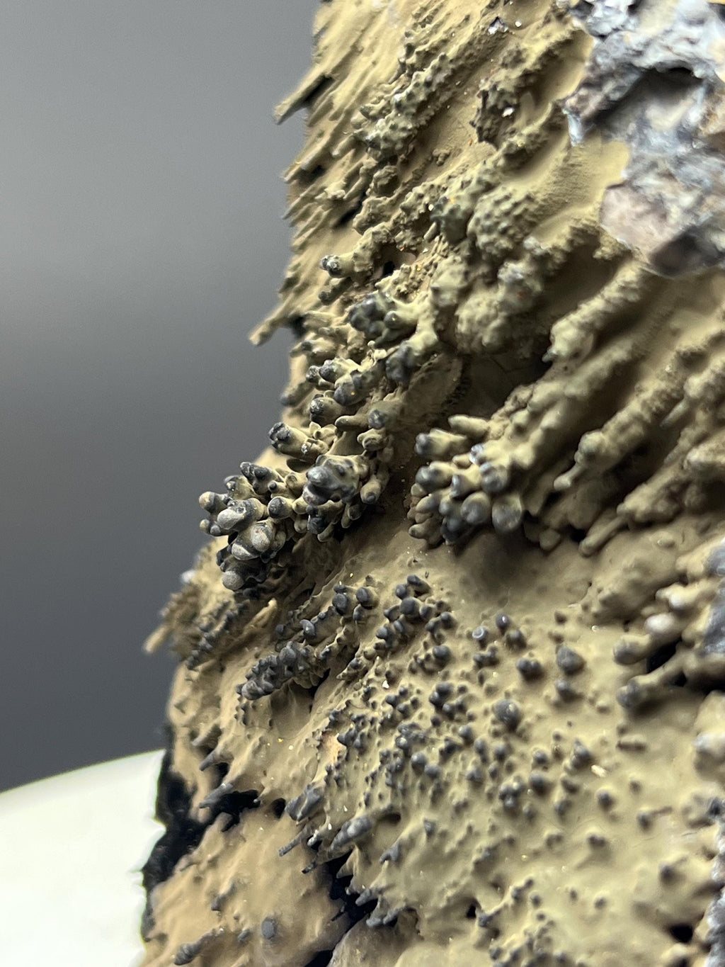 Very Special And Showy Specularite On Stalactite Goethite - Crystal Gemstone AE 
