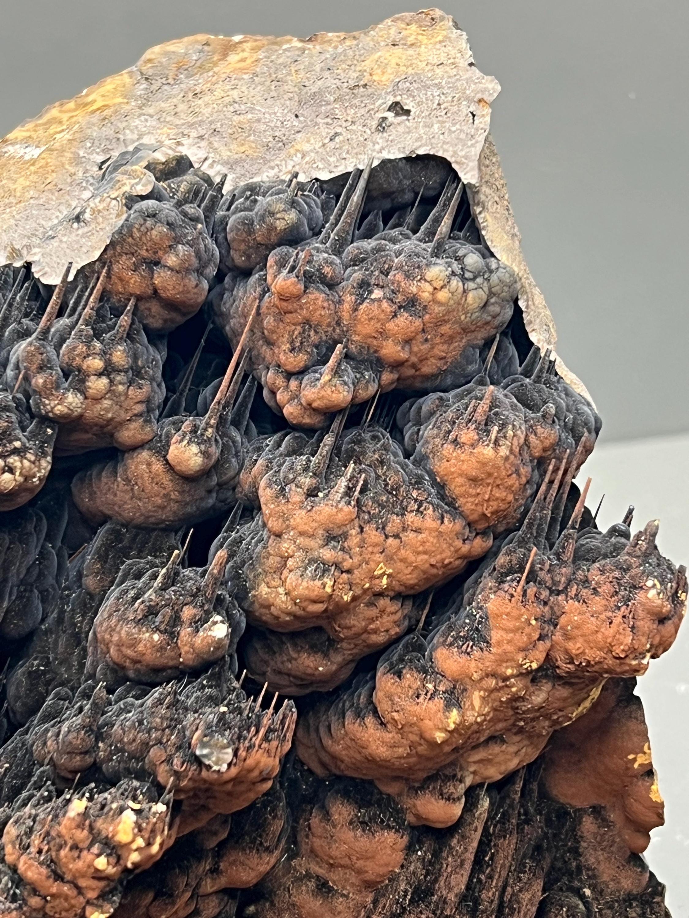 Limonite And Specularite On Stalactite Goethite Specimen - Crystal Gemstone AE 