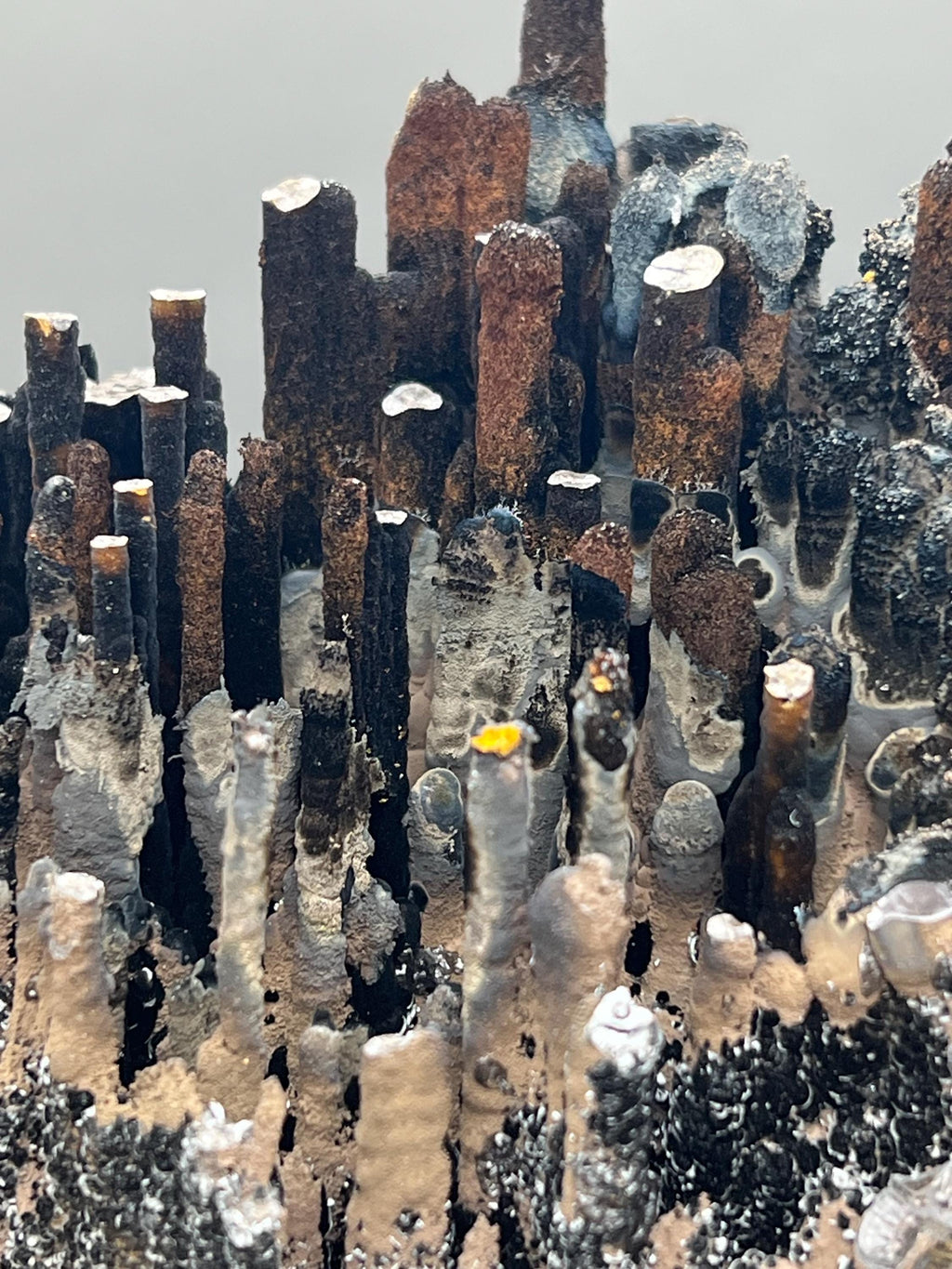 Limonite And Specularite on Goethite Stalactite, Rare Mineral Specimen - Crystal Gemstone AE 