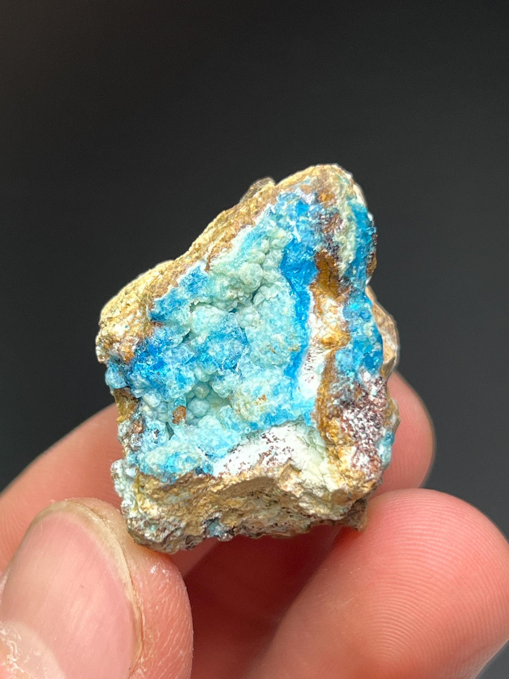 Blue Veszelyite Crystals on Botryoidal Hemimorphite - Crystal Gemstone AE 
