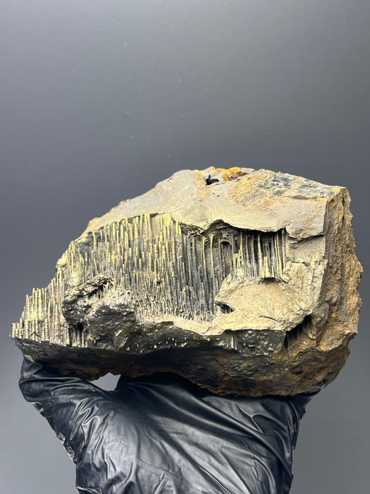 Museum Grade, Golden Color Stalactite Goethite - Crystal Gemstone AE 