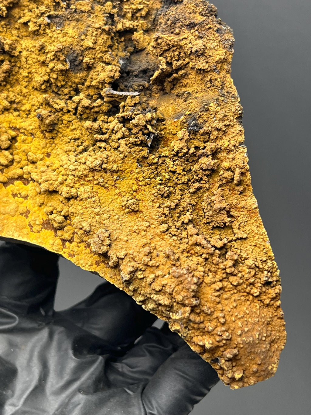 Museum Quality, Very Showy Special Limonite With Small Stalactites Goethite Specimen - Crystal Gemstone AE 