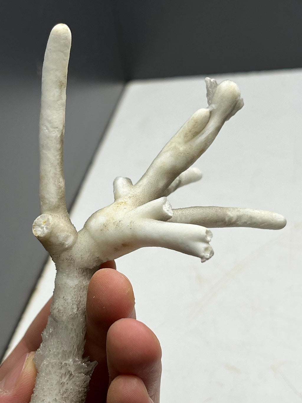 Very Special Formed Stalactite Aragonite Mineral, From Turkey - Crystal Gemstone AE 