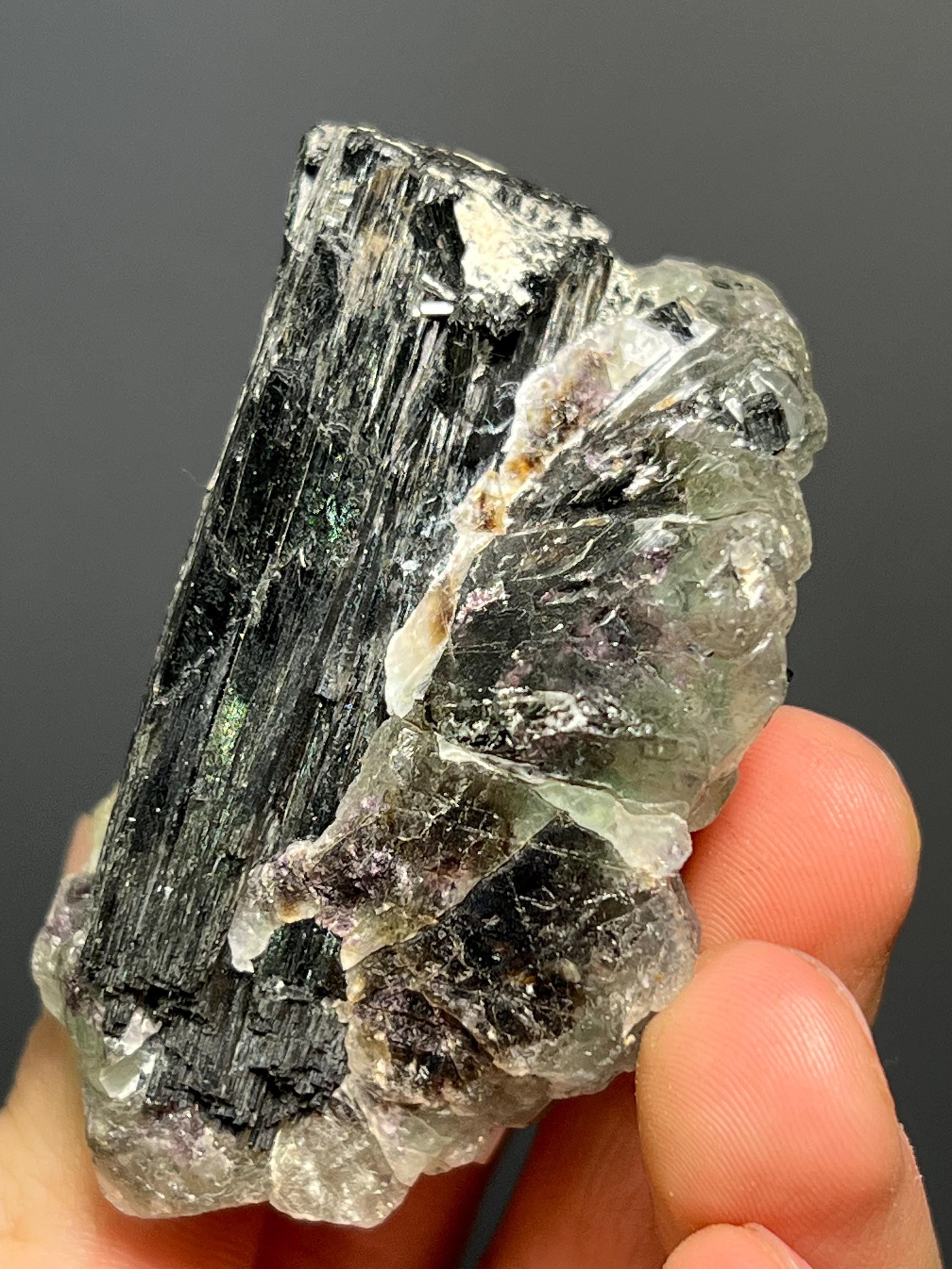 Fluorite On Tourmaline Schorl - Namibia - Crystal Gemstone AE 