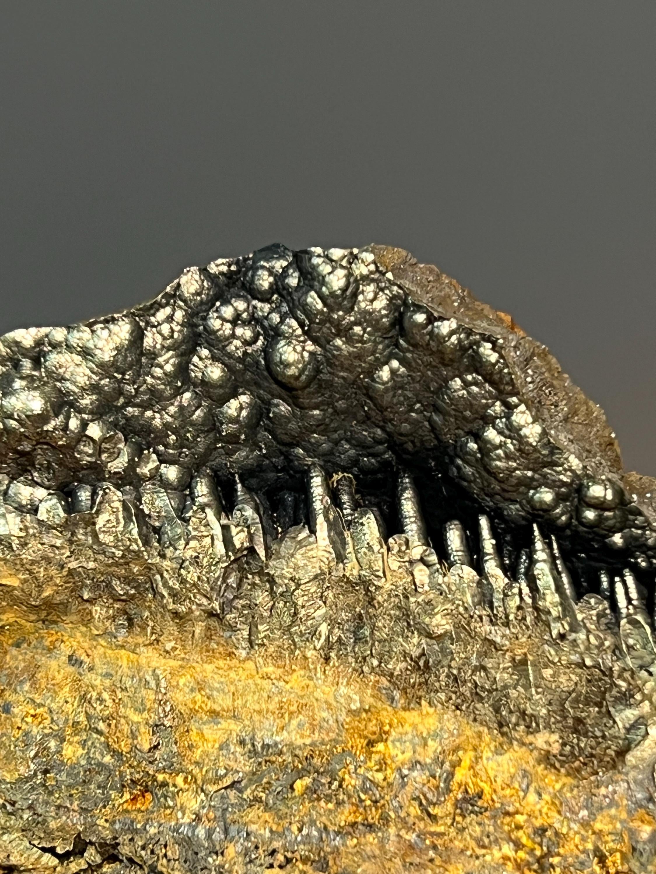 Showy Golden Color Cave Stalactite Goethite Specimen - Crystal Gemstone AE 