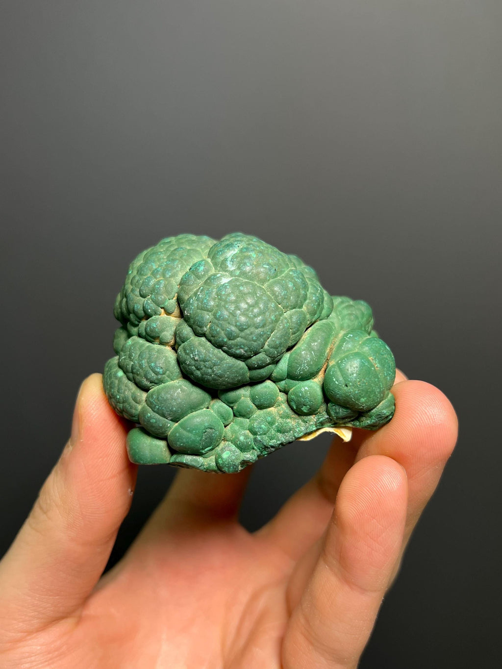 Malachite Specimen - Congo - Crystal Gemstone AE 
