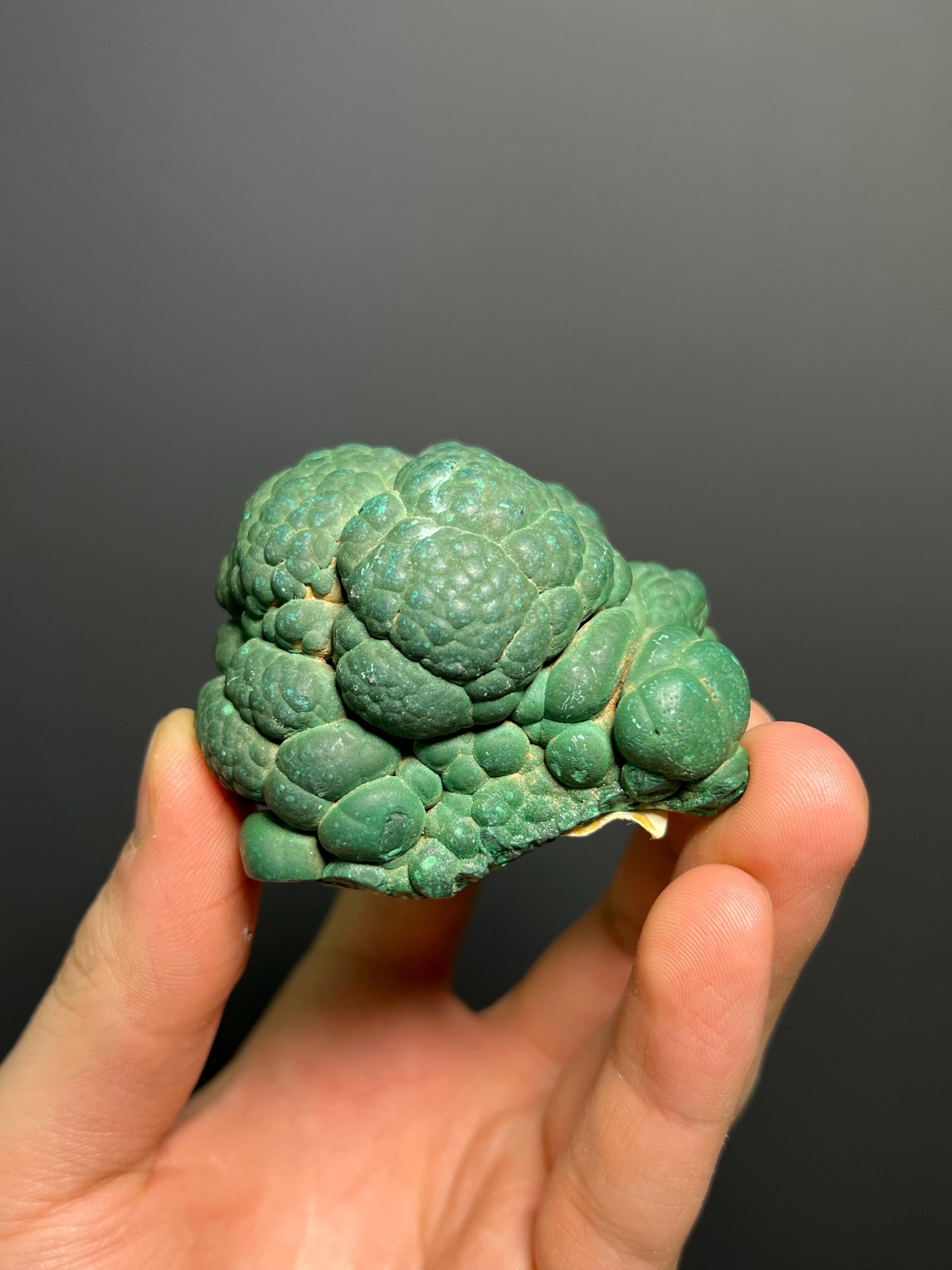 Malachite Specimen - Congo - Crystal Gemstone AE 