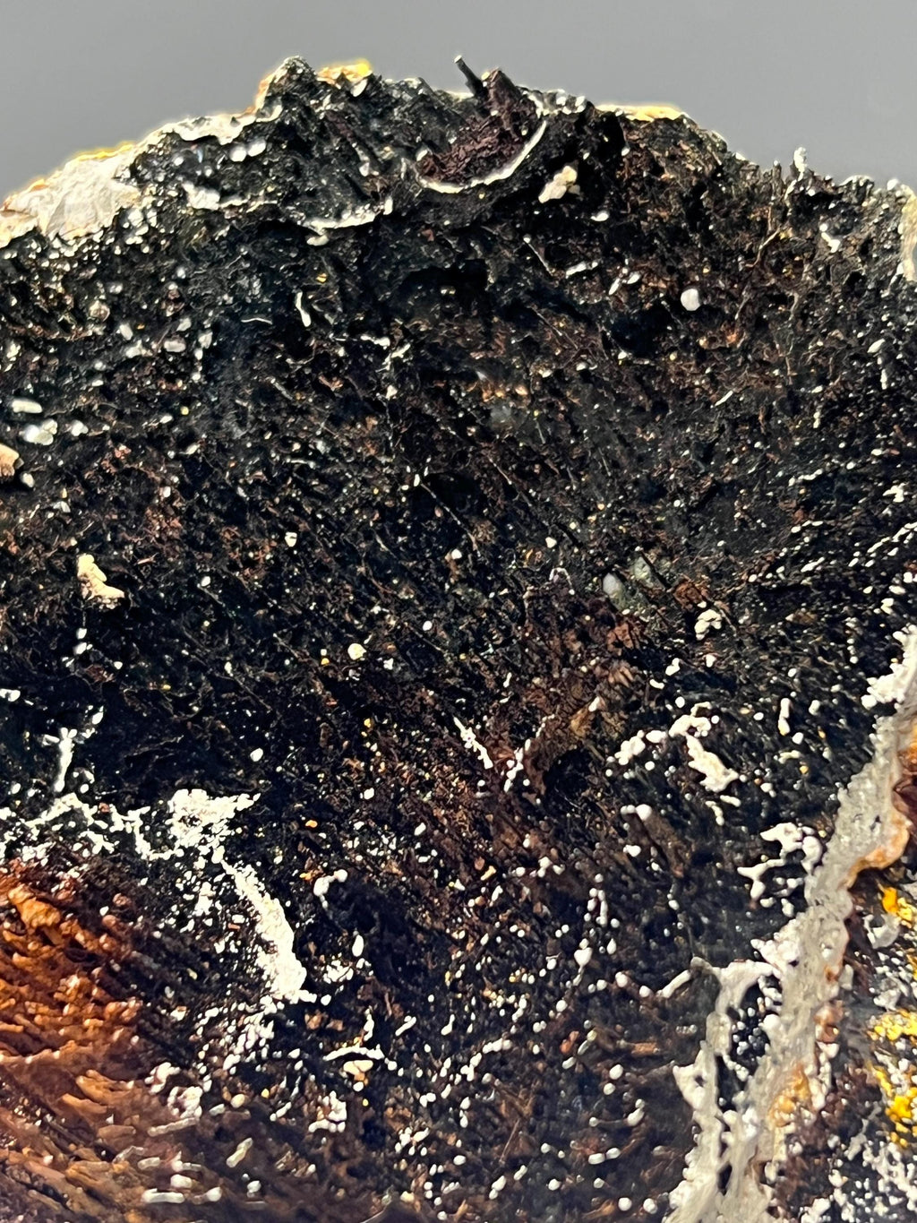 Showy, Limonite With Stalactite Goethite Specimen - Crystal Gemstone AE 