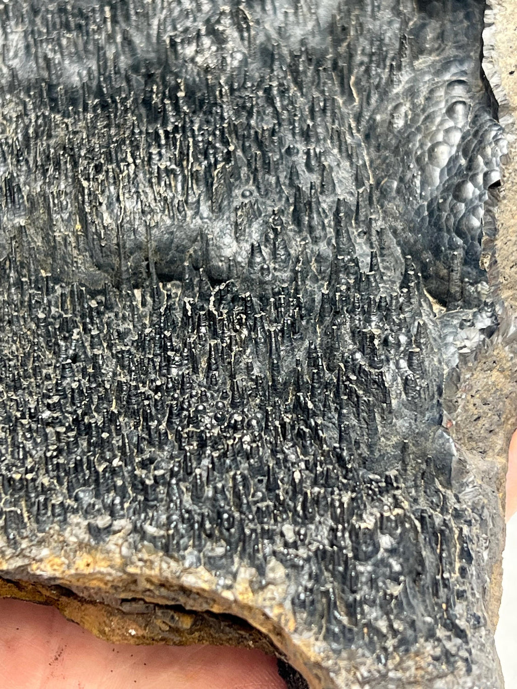 Museum quality, Very special slim stalactites Goethite specimen, Special Collections - Crystal Gemstone AE 