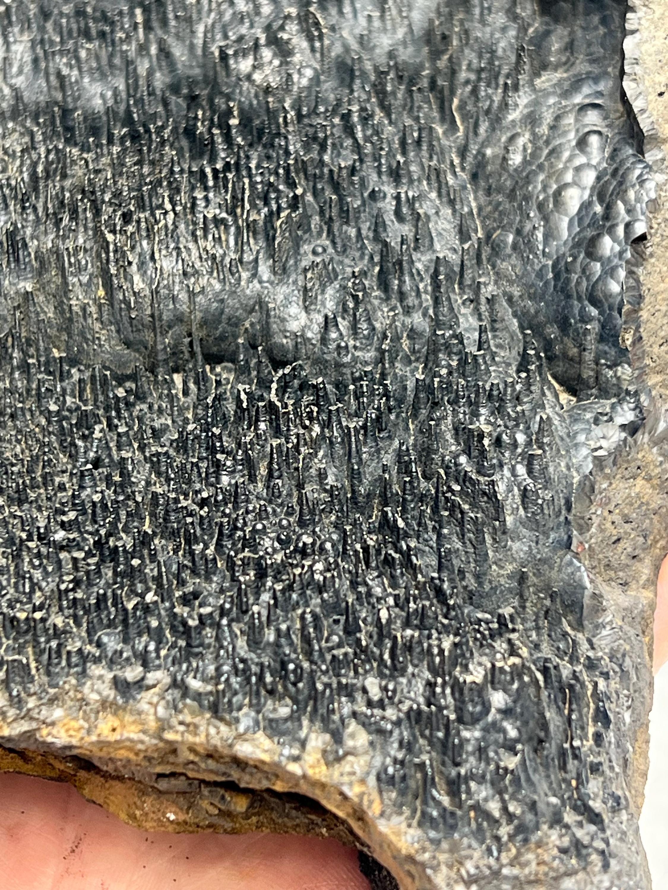 Museum quality, Very special slim stalactites Goethite specimen, Special Collections - Crystal Gemstone AE 