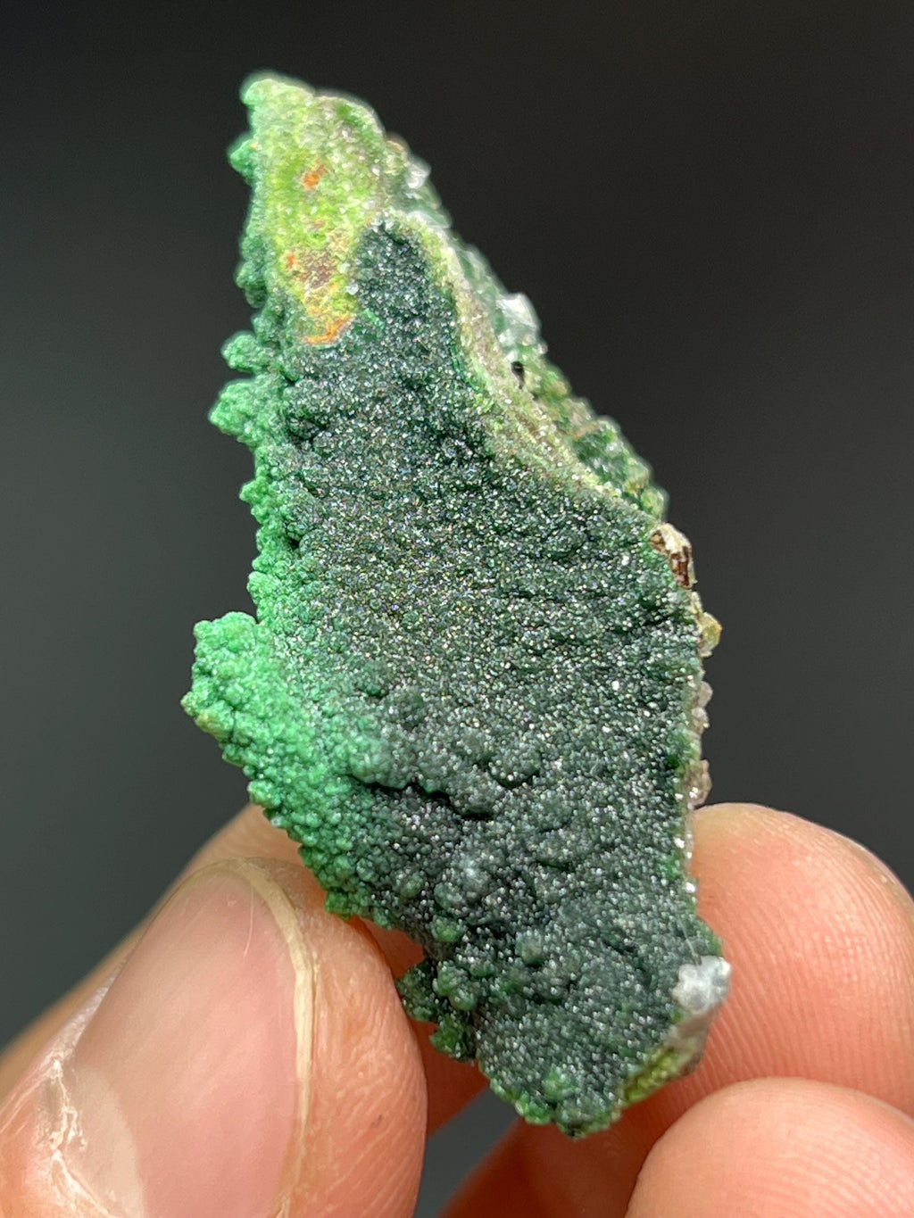 Conichalcite, Malachite With Cuprite Specimen - Crystal Gemstone AE 