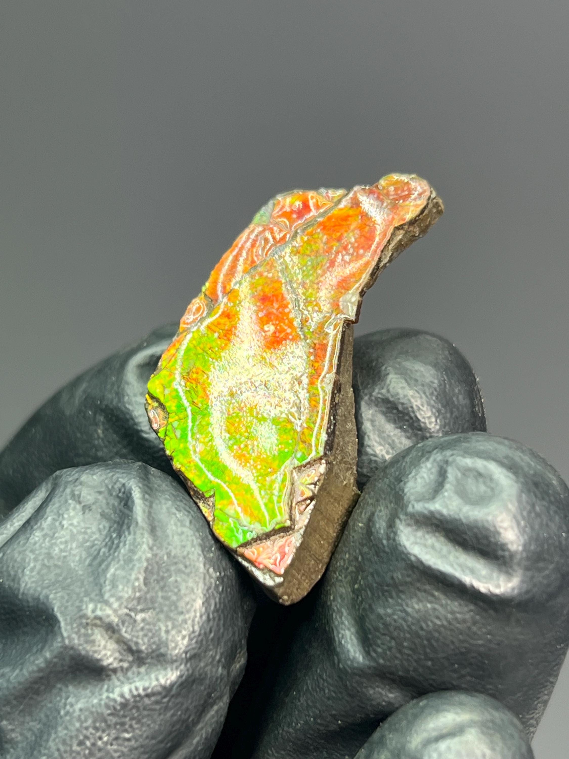 Iridescent Ammolite Specimen - Crystal Gemstone AE 