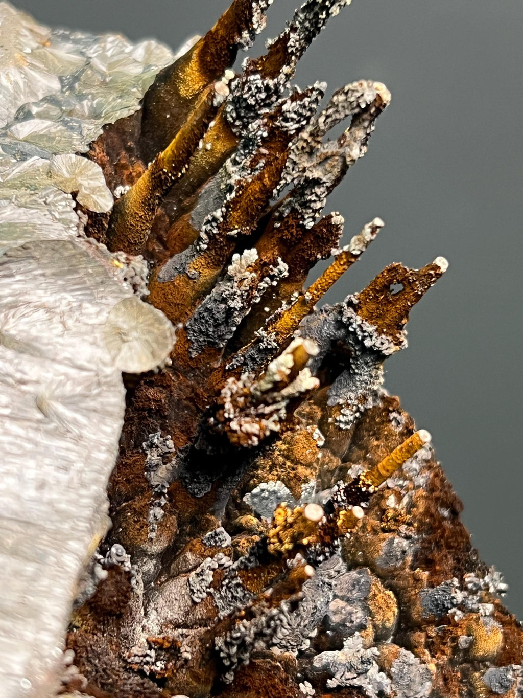 Museum Grade Specularite And Limonite On Stalactite Goethite - Crystal Gemstone AE 