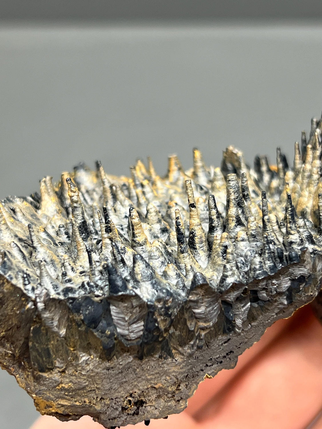 Limonite And Specularite On Stalactite Goethite - Crystal Gemstone AE 