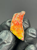 Iridescent Ammolite Specimen - Crystal Gemstone AE 