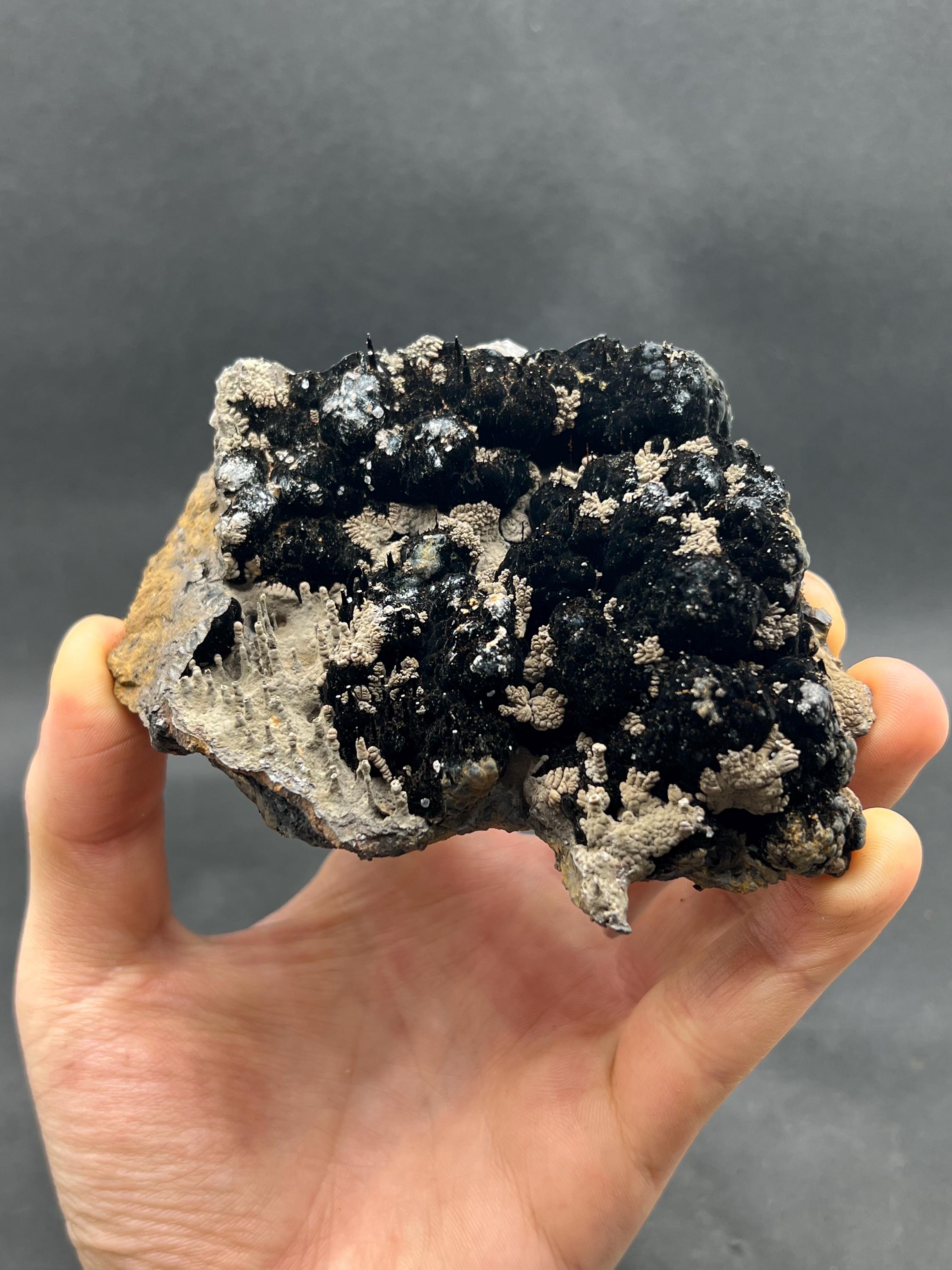 Limonite And Specularite On Stalactite Goethite - Crystal Gemstone AE 