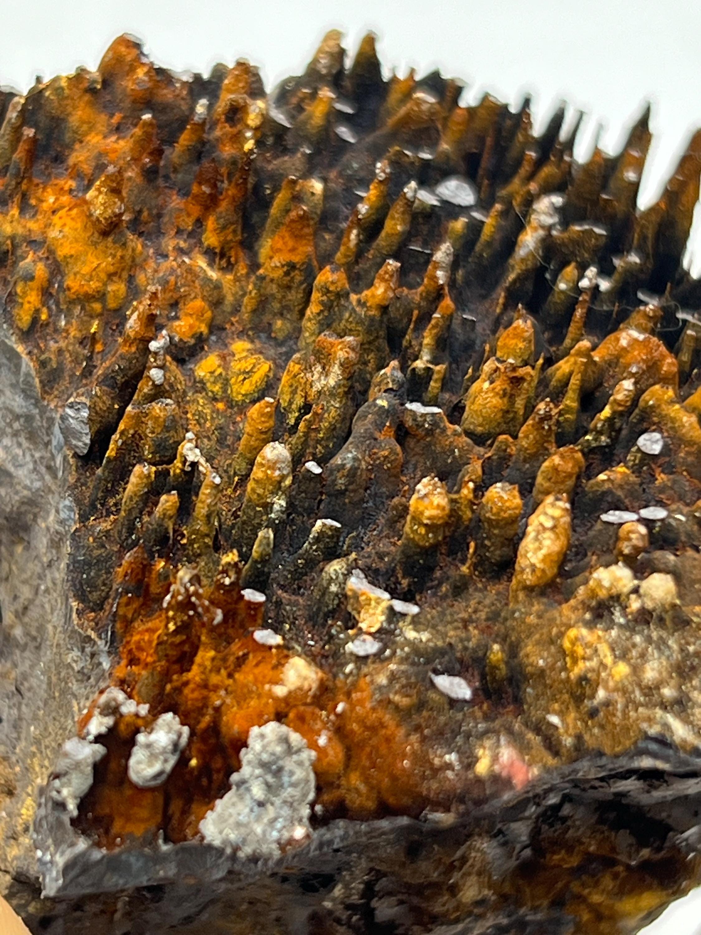 Museum quality, Very Special, Limonite With Stalactite Goethite, From Turkey, Special Collection Piece - Crystal Gemstone AE 