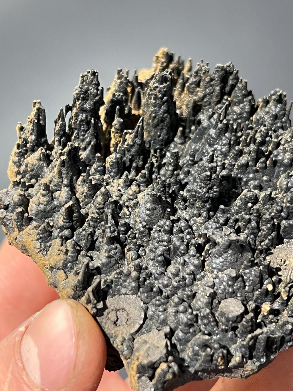 Museum Quality Showy Stalactite Goethite - Crystal Gemstone AE 