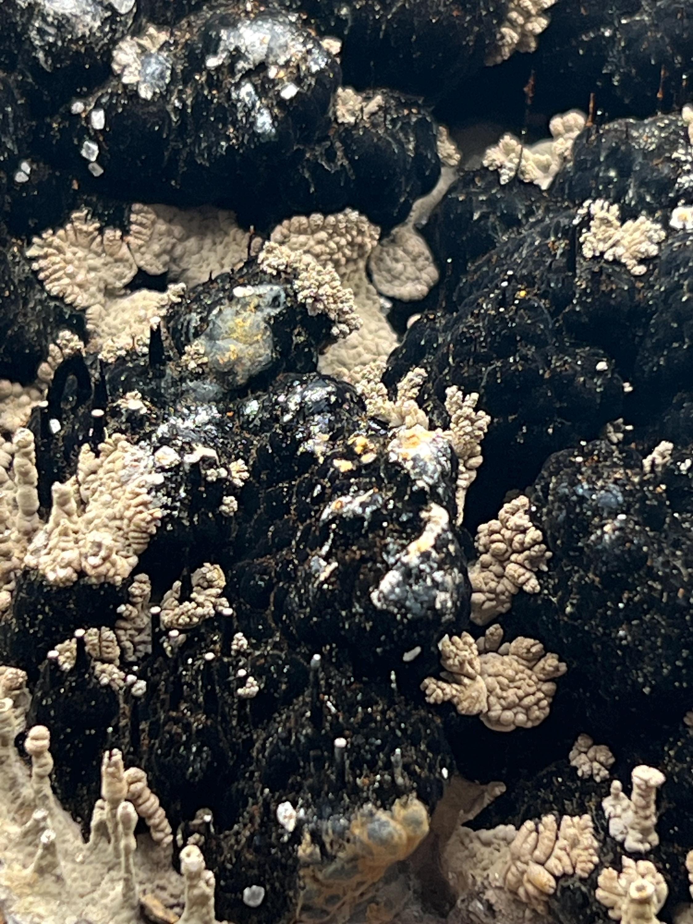 Limonite And Specularite On Stalactite Goethite - Crystal Gemstone AE 