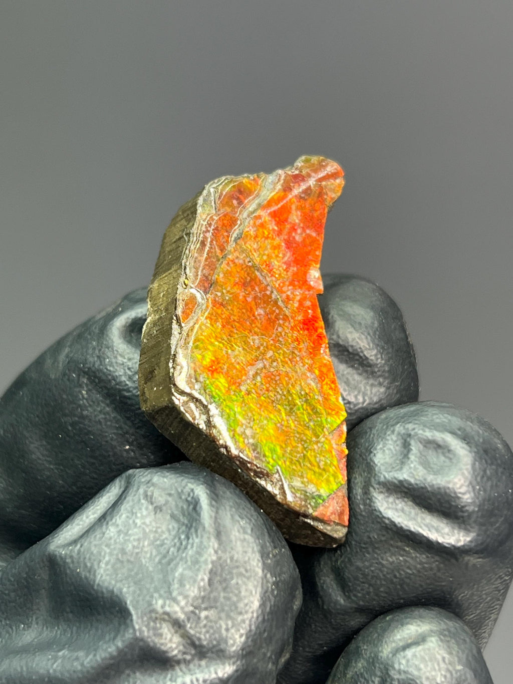 Iridescent Ammolite Specimen - Crystal Gemstone AE 
